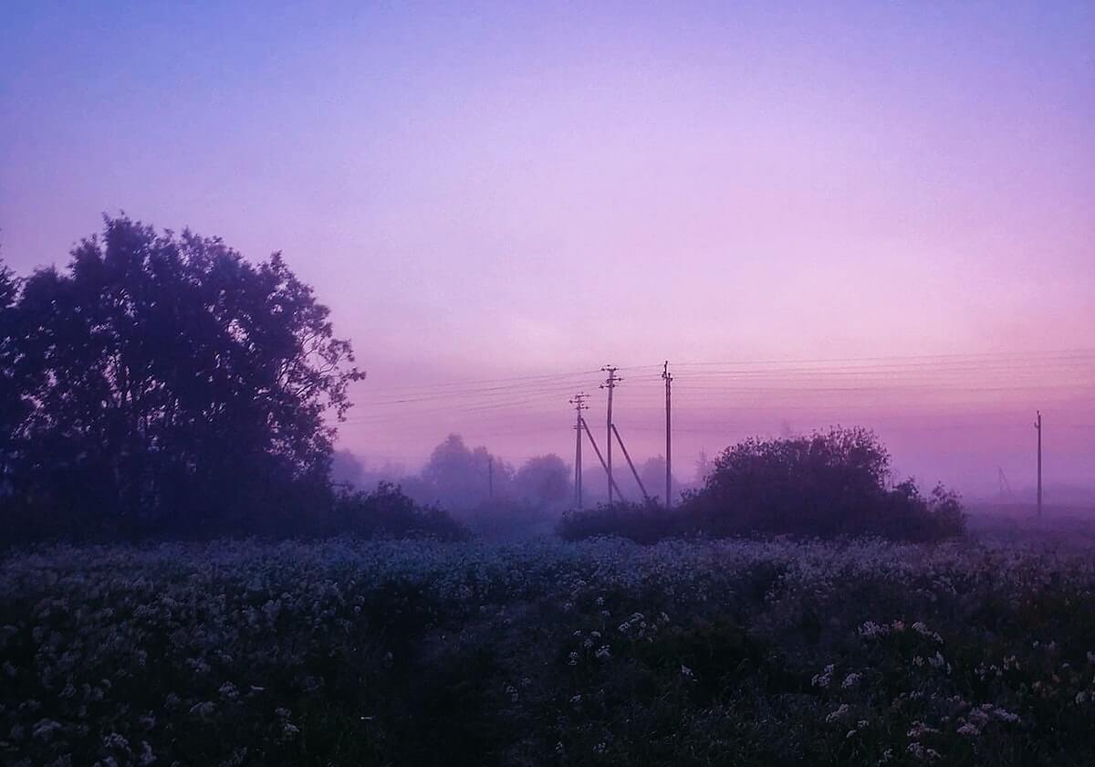 1夜狂发N条！多特官号疯捧樊振东，欧冠输球却赢麻了？